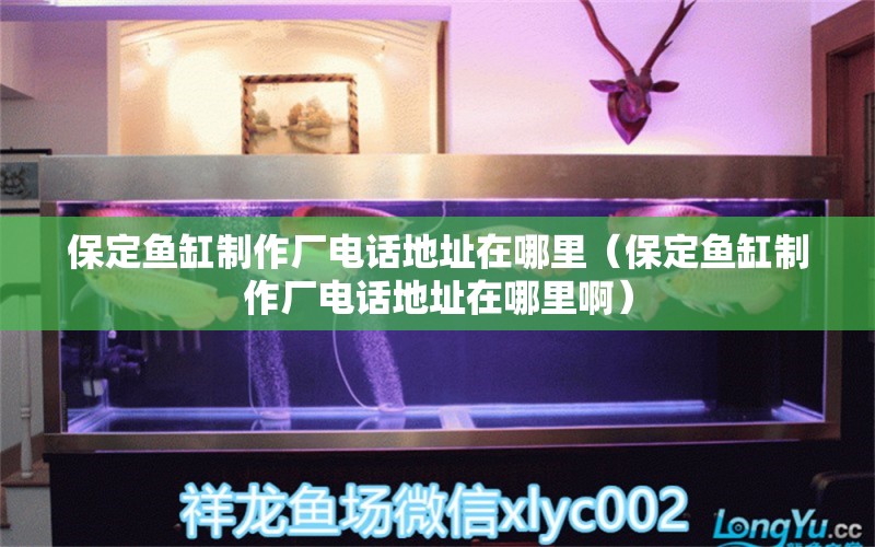 保定魚缸制作廠電話地址在哪里（保定魚缸制作廠電話地址在哪里?。? title=