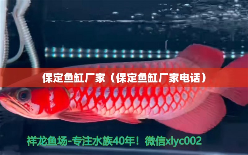 保定魚缸廠家（保定魚缸廠家電話）