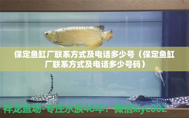 保定魚缸廠聯系方式及電話多少號（保定魚缸廠聯系方式及電話多少號碼）