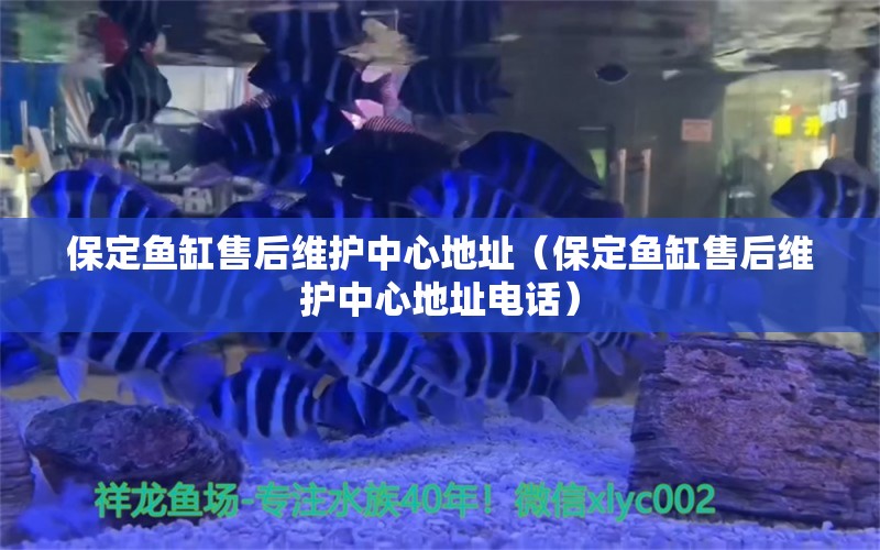 保定魚缸售后維護(hù)中心地址（保定魚缸售后維護(hù)中心地址電話） 其他品牌魚缸