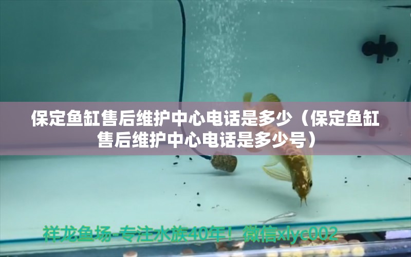 保定魚缸售后維護中心電話是多少（保定魚缸售后維護中心電話是多少號） 其他品牌魚缸