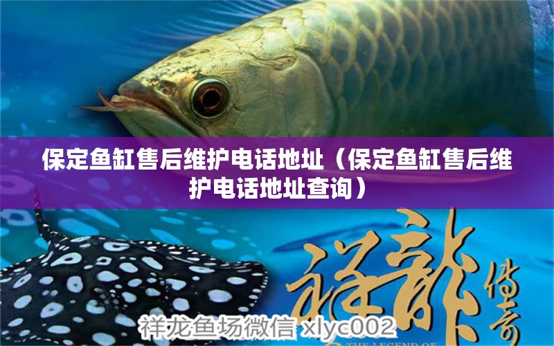 保定魚缸售后維護(hù)電話地址（保定魚缸售后維護(hù)電話地址查詢）