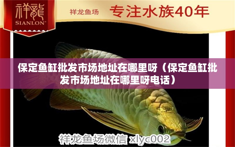 保定魚缸批發(fā)市場地址在哪里呀（保定魚缸批發(fā)市場地址在哪里呀電話）