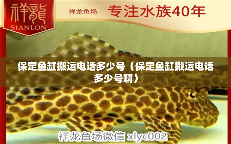 保定魚缸搬運(yùn)電話多少號(hào)（保定魚缸搬運(yùn)電話多少號(hào)?。?紅勾銀版魚