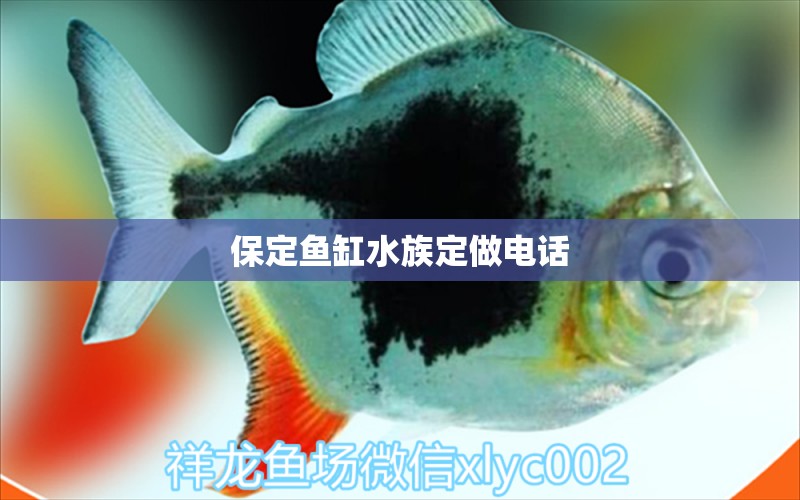 保定魚缸水族定做電話 其他品牌魚缸