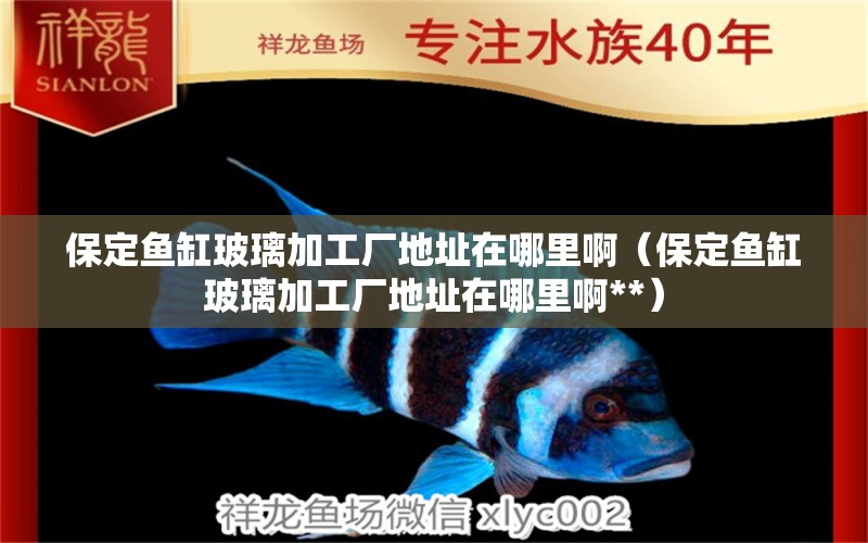 保定魚缸玻璃加工廠地址在哪里?。ū６~缸玻璃加工廠地址在哪里啊**）