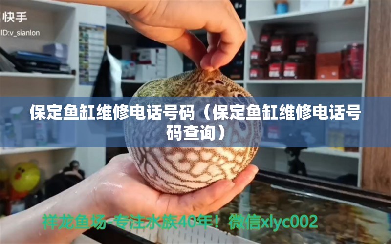 保定魚缸維修電話號(hào)碼（保定魚缸維修電話號(hào)碼查詢）