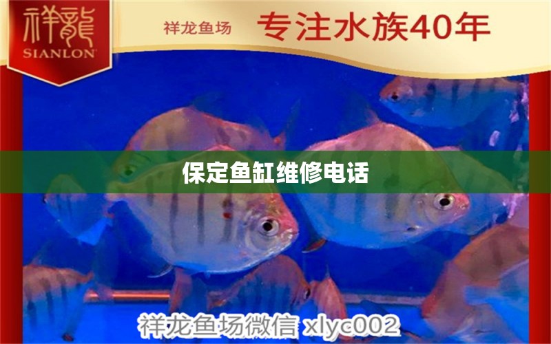 保定魚缸維修電話 其他品牌魚缸