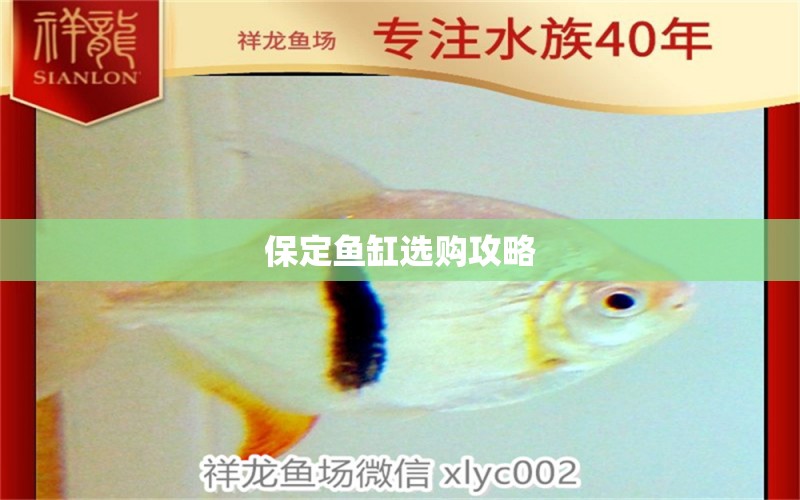 保定魚缸選購攻略 養(yǎng)魚知識