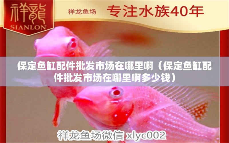 保定魚缸配件批發(fā)市場在哪里啊（保定魚缸配件批發(fā)市場在哪里啊多少錢）