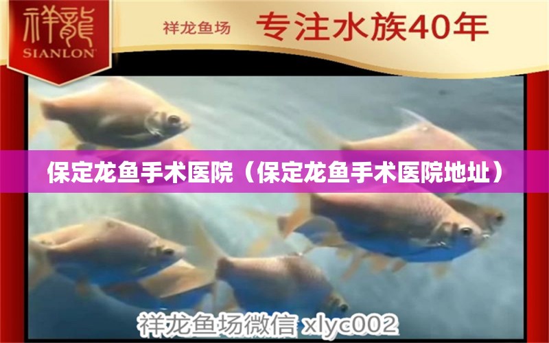 保定龍魚手術(shù)醫(yī)院（保定龍魚手術(shù)醫(yī)院地址）