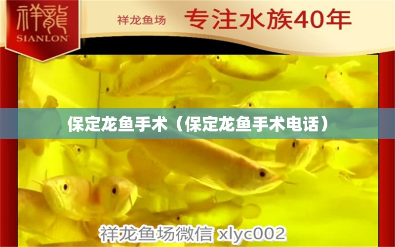 保定龍魚手術(shù)（保定龍魚手術(shù)電話） 撒旦鴨嘴魚