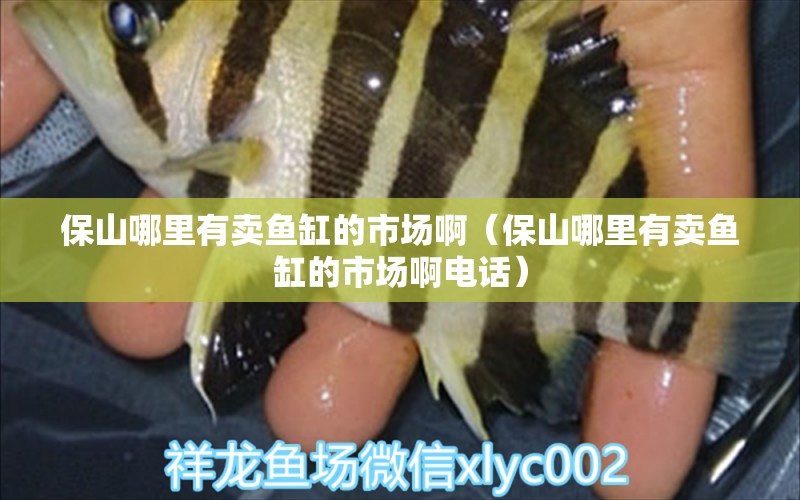 保山哪里有賣魚缸的市場?。ūＩ侥睦镉匈u魚缸的市場啊電話）