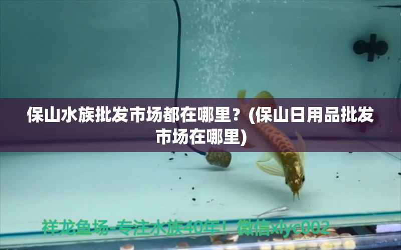 保山水族批發(fā)市場都在哪里？(保山日用品批發(fā)市場在哪里) 觀賞魚水族批發(fā)市場