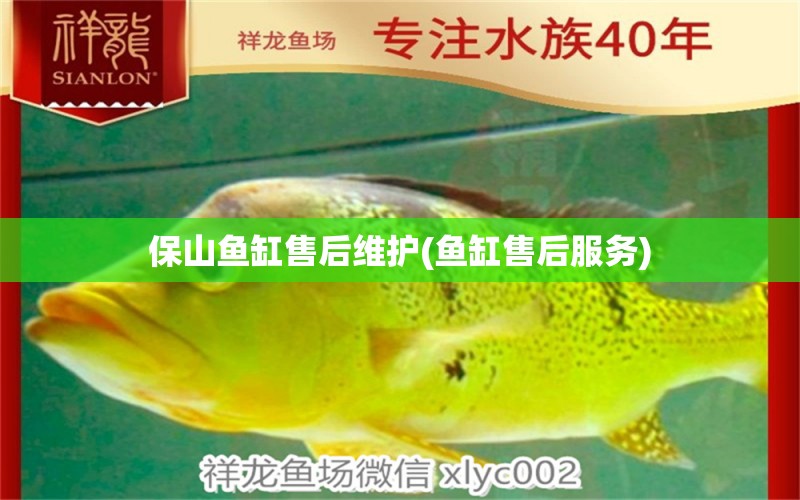 保山魚缸售后維護(hù)(魚缸售后服務(wù)) 祥龍金禾金龍魚