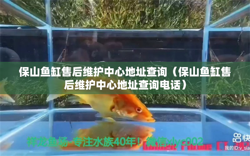 保山魚缸售后維護中心地址查詢（保山魚缸售后維護中心地址查詢電話） 其他品牌魚缸