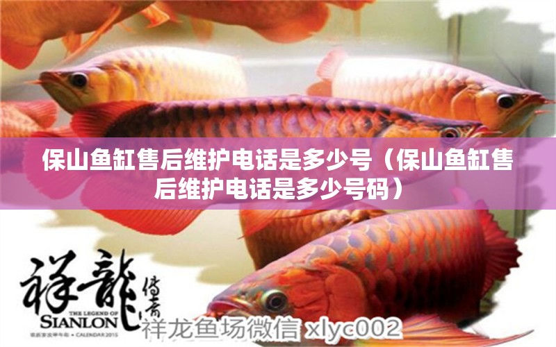 保山魚(yú)缸售后維護(hù)電話是多少號(hào)（保山魚(yú)缸售后維護(hù)電話是多少號(hào)碼）