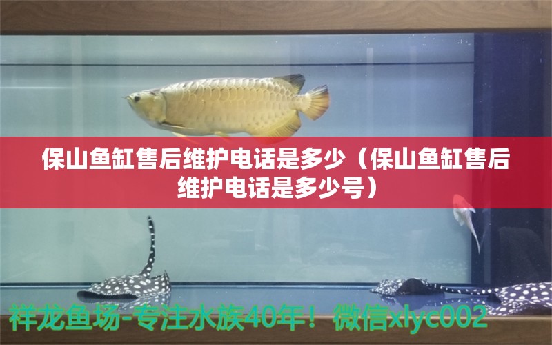 保山魚(yú)缸售后維護(hù)電話(huà)是多少（保山魚(yú)缸售后維護(hù)電話(huà)是多少號(hào)） 其他品牌魚(yú)缸