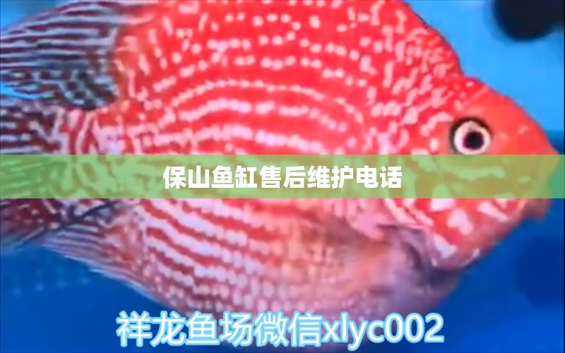 保山魚缸售后維護(hù)電話 其他品牌魚缸