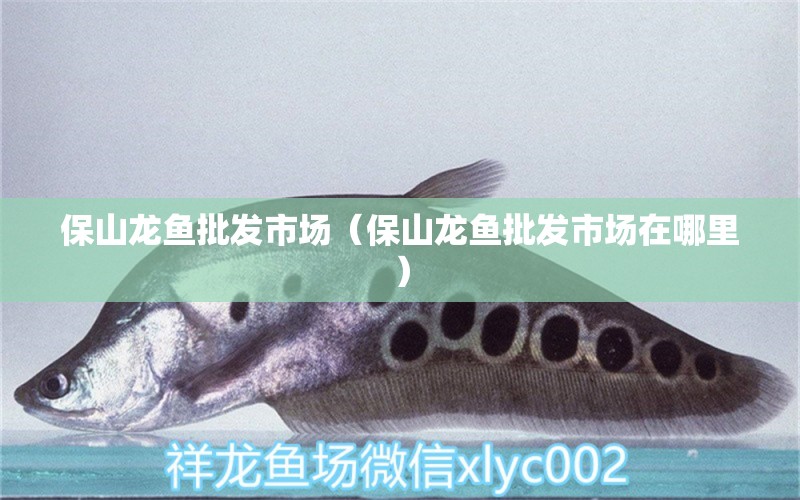 保山龍魚批發(fā)市場（保山龍魚批發(fā)市場在哪里）