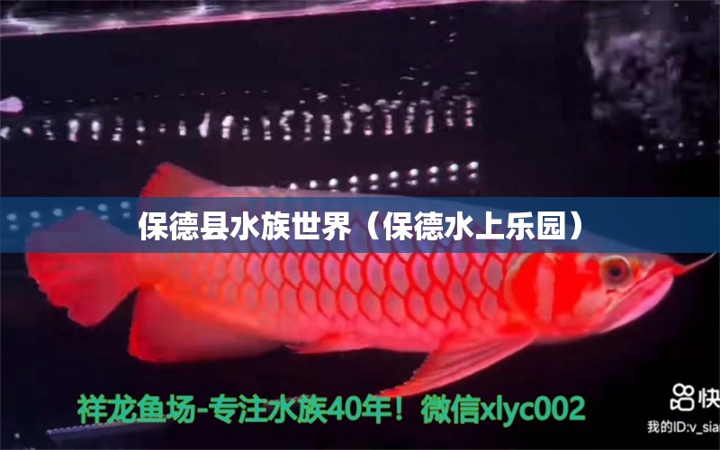 保德縣水族世界（保德水上樂園） 全國水族館企業(yè)名錄