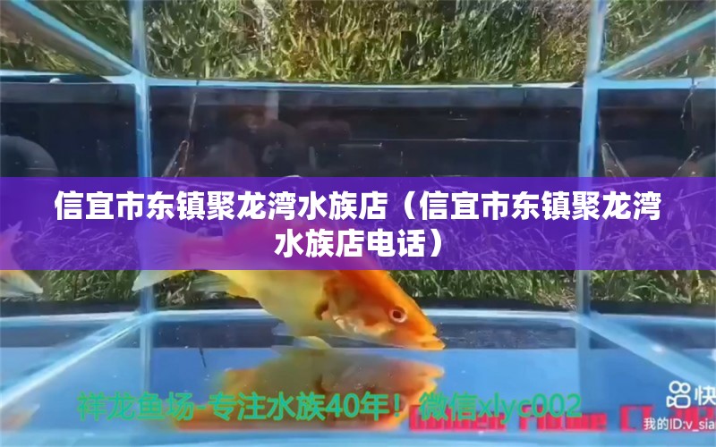 信宜市東鎮(zhèn)聚龍灣水族店（信宜市東鎮(zhèn)聚龍灣水族店電話） 全國水族館企業(yè)名錄