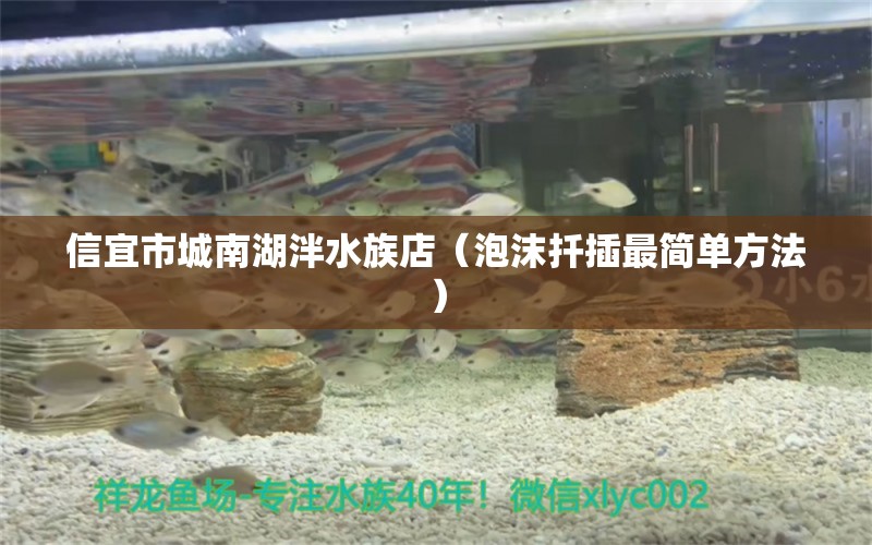 信宜市城南湖泮水族店（泡沫扦插最簡(jiǎn)單方法） 全國(guó)水族館企業(yè)名錄