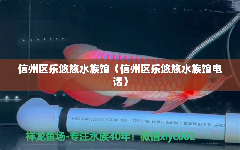 信州區(qū)樂悠悠水族館（信州區(qū)樂悠悠水族館電話） 全國(guó)水族館企業(yè)名錄