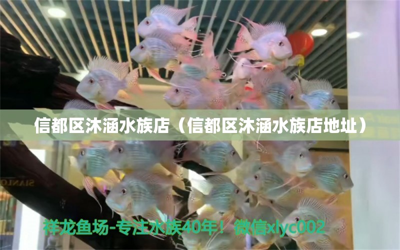 信都區(qū)沐涵水族店（信都區(qū)沐涵水族店地址） 全國水族館企業(yè)名錄