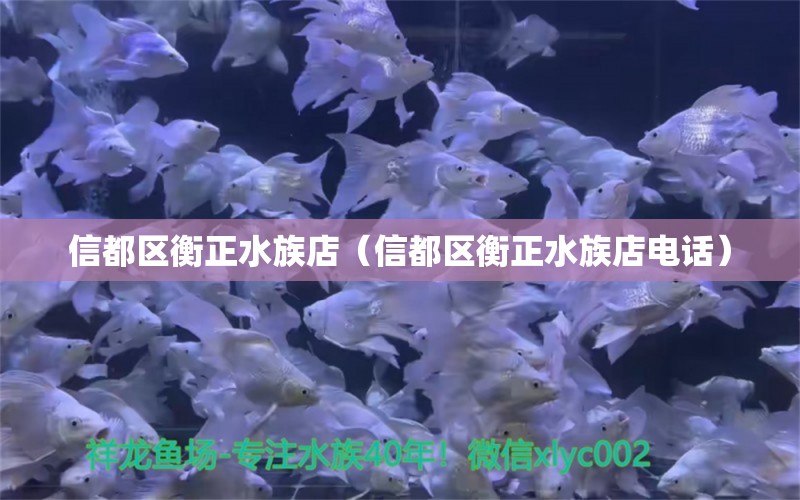 信都區(qū)衡正水族店（信都區(qū)衡正水族店電話）