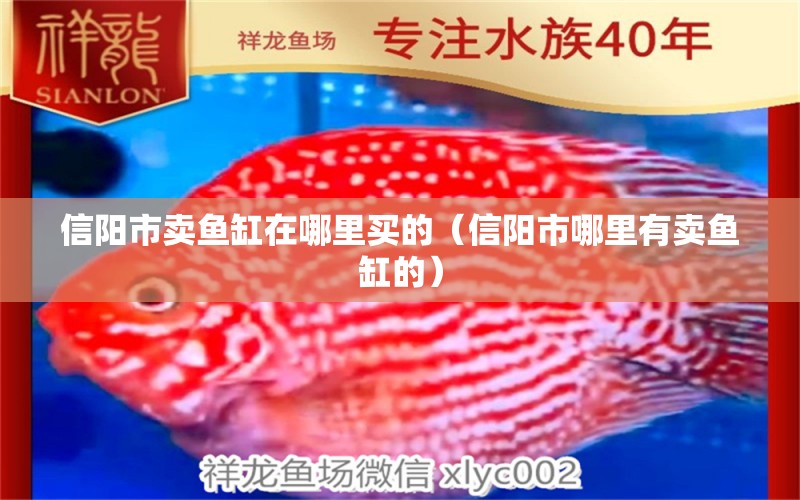 信陽市賣魚缸在哪里買的（信陽市哪里有賣魚缸的）