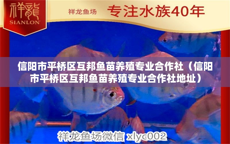 信陽市平橋區(qū)互邦魚苗養(yǎng)殖專業(yè)合作社（信陽市平橋區(qū)互邦魚苗養(yǎng)殖專業(yè)合作社地址）