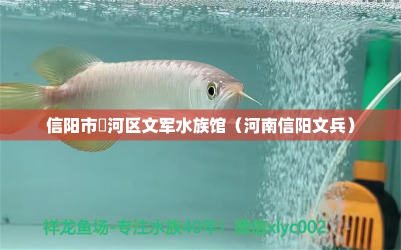 信陽市浉河區(qū)文軍水族館（河南信陽文兵）