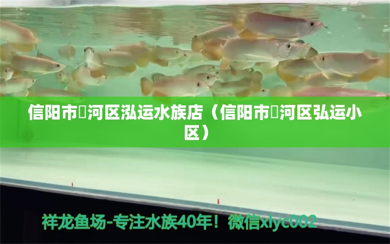 信陽市浉河區(qū)泓運水族店（信陽市浉河區(qū)弘運小區(qū)）