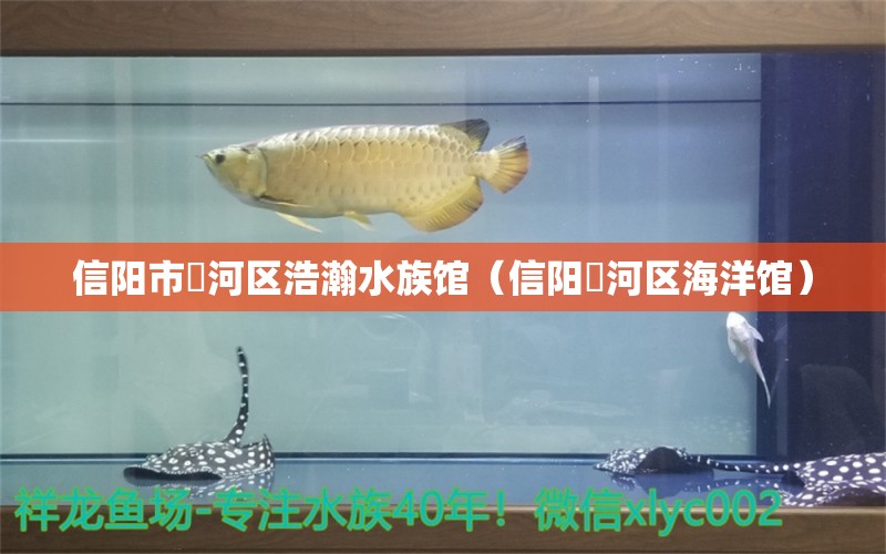 信陽市浉河區(qū)浩瀚水族館（信陽浉河區(qū)海洋館） 全國水族館企業(yè)名錄