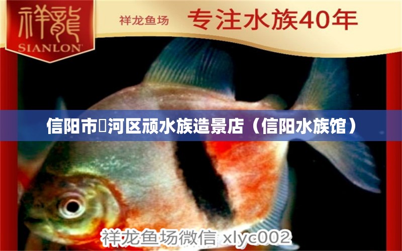 信陽市浉河區(qū)頑水族造景店（信陽水族館）