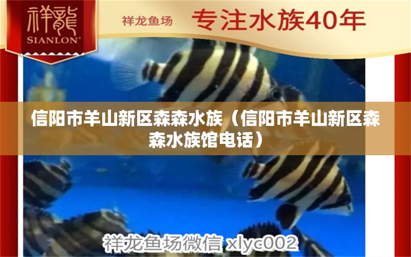 信陽市羊山新區(qū)森森水族（信陽市羊山新區(qū)森森水族館電話）