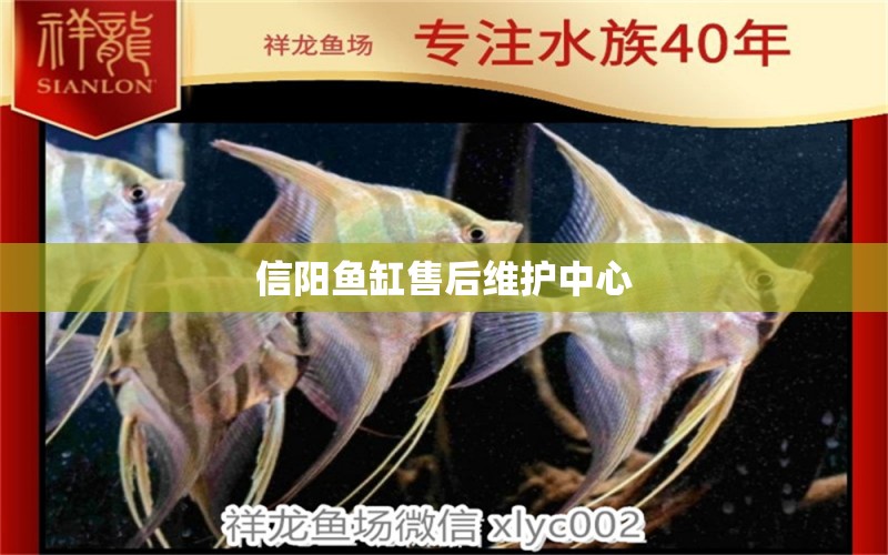 信陽魚缸售后維護(hù)中心 其他品牌魚缸