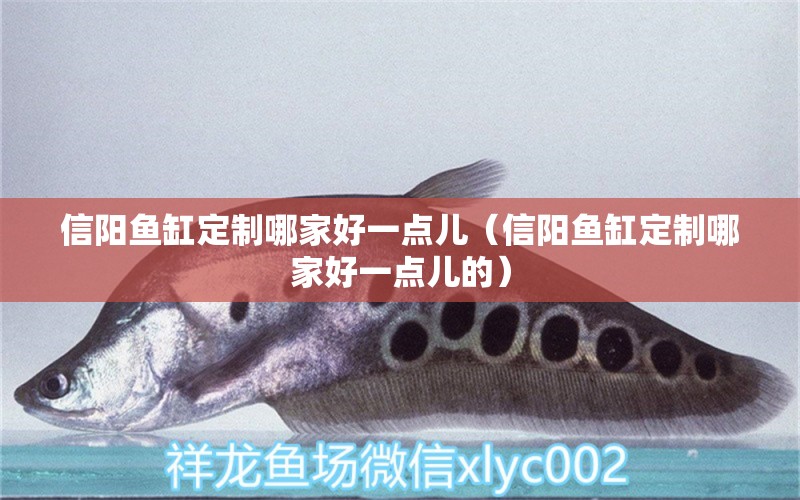 信陽魚缸定制哪家好一點(diǎn)兒（信陽魚缸定制哪家好一點(diǎn)兒的）