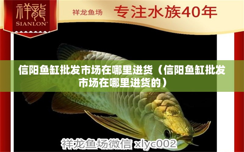 信陽魚缸批發(fā)市場在哪里進貨（信陽魚缸批發(fā)市場在哪里進貨的）