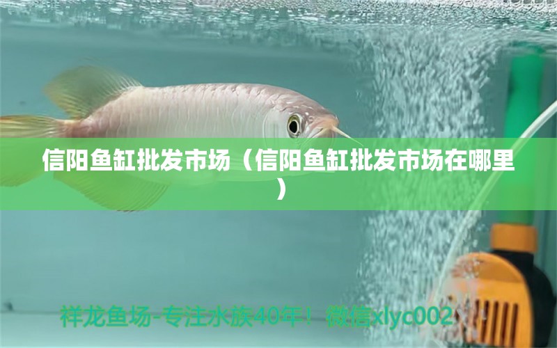 信陽魚缸批發(fā)市場（信陽魚缸批發(fā)市場在哪里） 觀賞魚水族批發(fā)市場