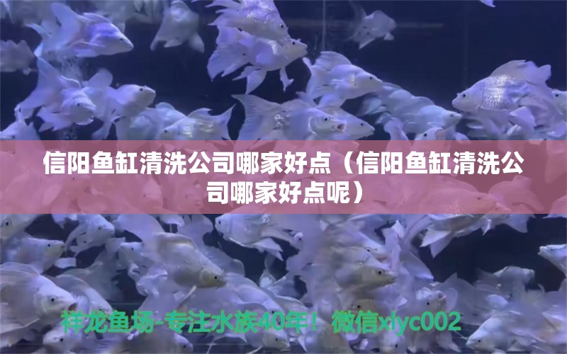 信陽魚缸清洗公司哪家好點（信陽魚缸清洗公司哪家好點呢）