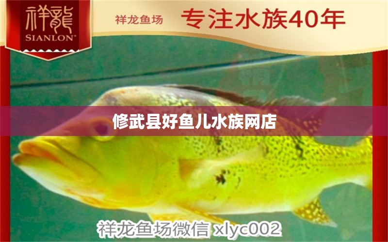 修武縣好魚兒水族網(wǎng)店 全國水族館企業(yè)名錄