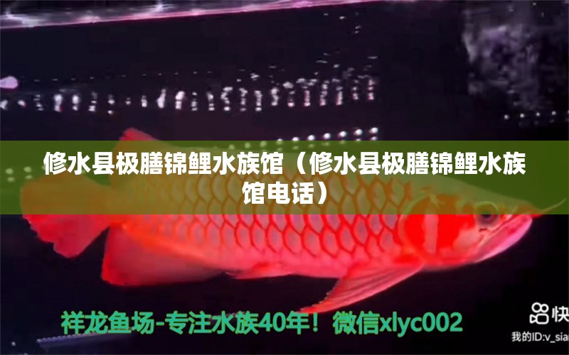 修水縣極膳錦鯉水族館（修水縣極膳錦鯉水族館電話）