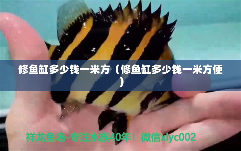 修魚缸多少錢一米方（修魚缸多少錢一米方便） 祥龍水族醫(yī)院