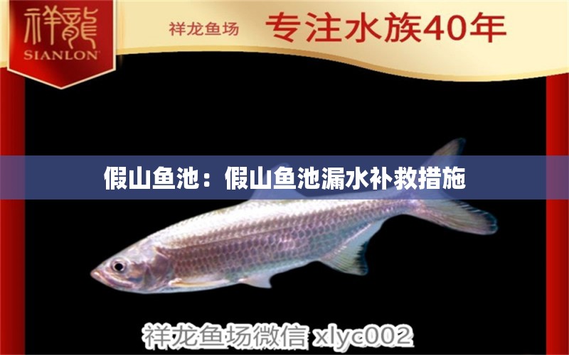 假山魚(yú)池：假山魚(yú)池漏水補(bǔ)救措施