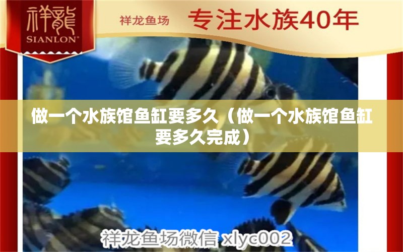 做一個水族館魚缸要多久（做一個水族館魚缸要多久完成） 觀賞魚市場（混養(yǎng)魚）