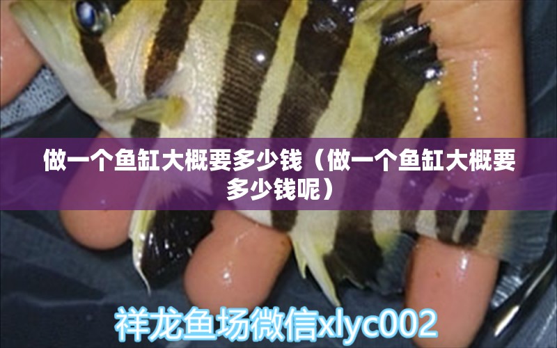 做一個魚缸大概要多少錢（做一個魚缸大概要多少錢呢）