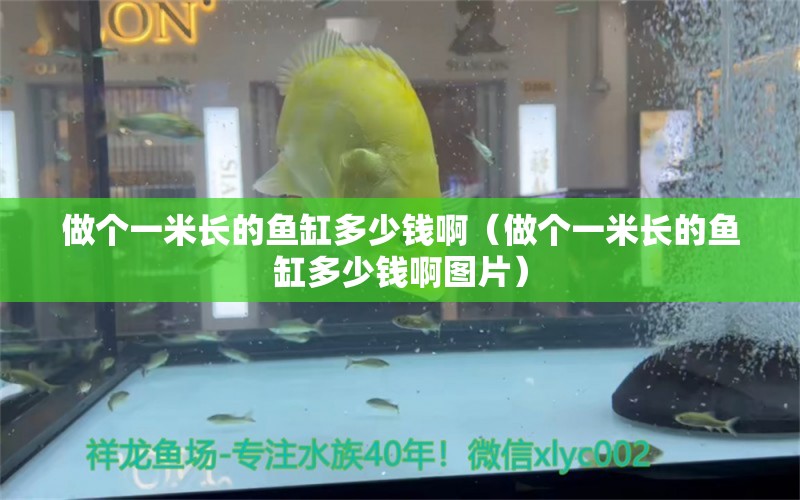 做個一米長的魚缸多少錢?。ㄗ鰝€一米長的魚缸多少錢啊圖片）