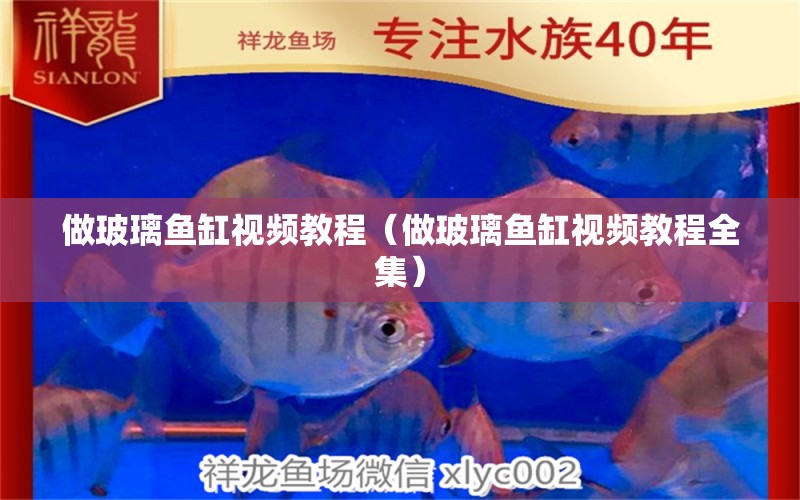 做玻璃魚缸視頻教程（做玻璃魚缸視頻教程全集）